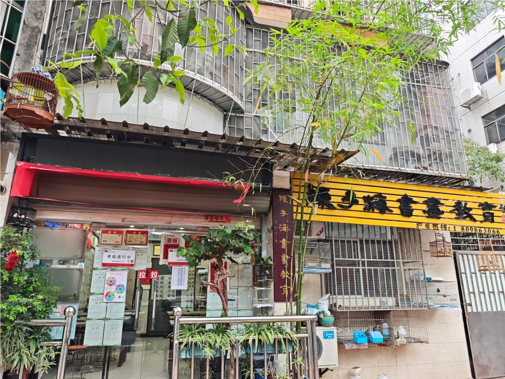 陈子海书画教育