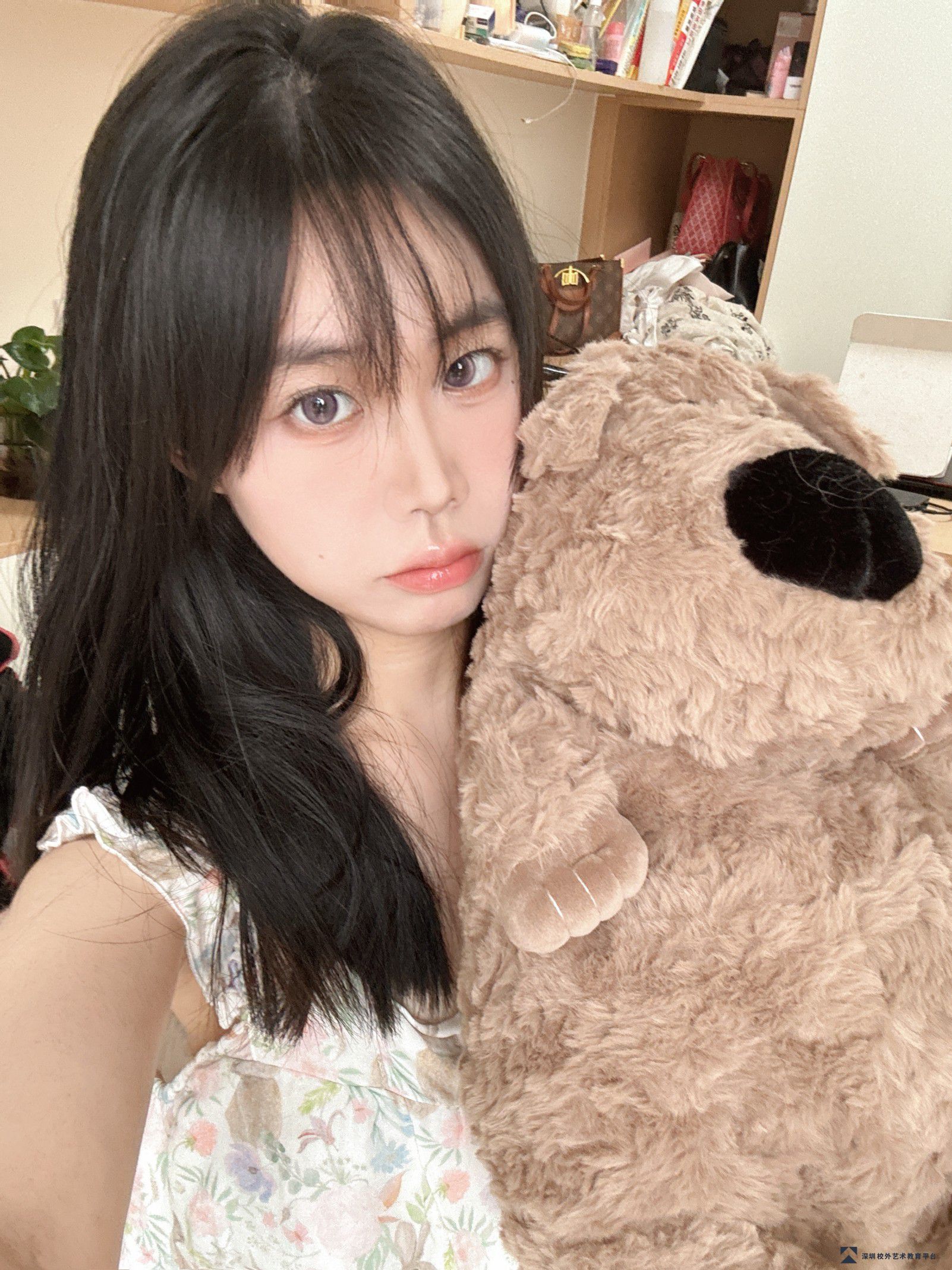 佩奇老师